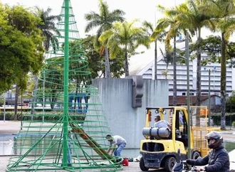 Joinville inicia montagem do Natal com árvore de 6 metros no Centro