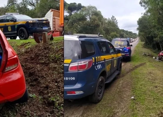 199 kg de maconha com destino a Joinville são apreendidos na BR-116