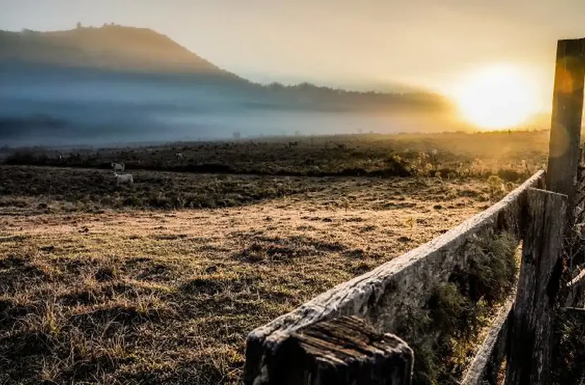 Cidades do Sul registram temperaturas negativas neste domingo