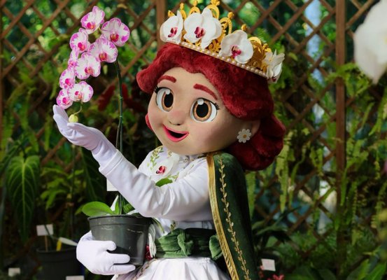Festa das Flores de Joinville ganha nova mascote inspirada na orquídea símbolo da cidade