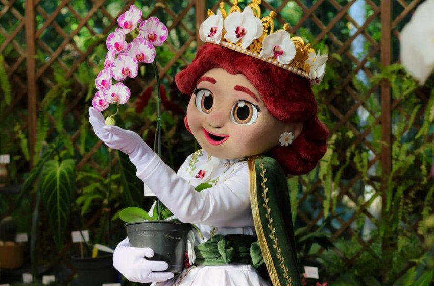 Festa das Flores de Joinville ganha nova mascote inspirada na orquídea símbolo da cidade