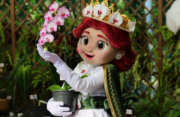 Festa das Flores de Joinville ganha nova mascote inspirada na orquídea símbolo da cidade