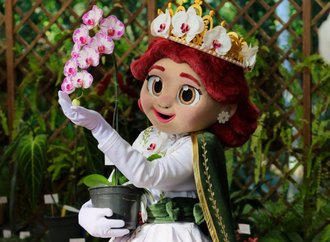 Festa das Flores de Joinville ganha nova mascote inspirada na orquídea símbolo da cidade