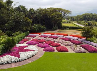 Festival de Primavera Hemero começa neste sábado, 11
