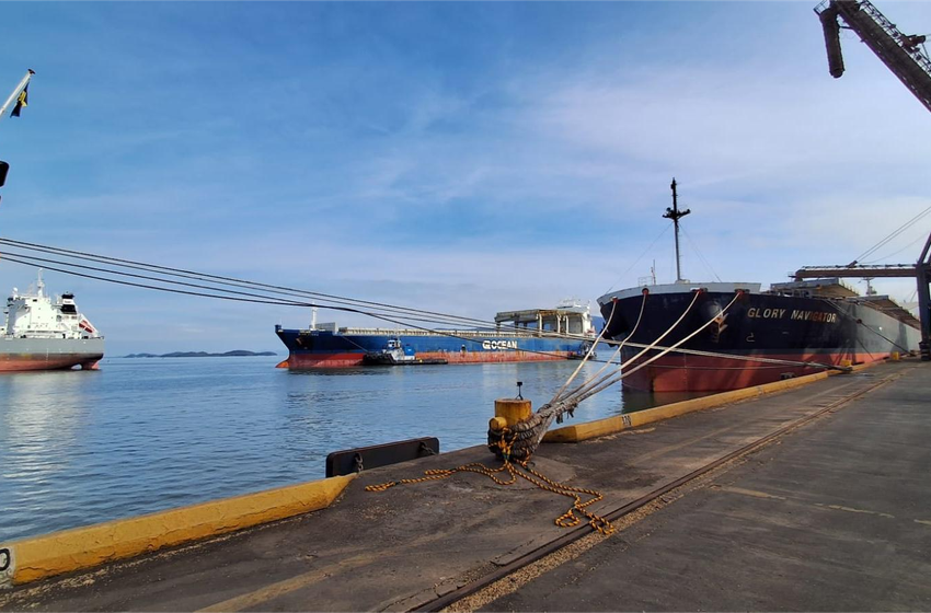 Movimentação do Porto de São Francisco cresce 16% nos primeiros cinco meses de 2024