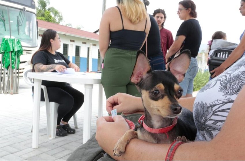 Prefeitura de Joinville faz mutirão de microchipagem no bairro Aventureiro