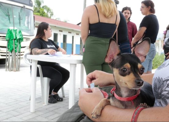 Prefeitura de Joinville faz mutirão de microchipagem no bairro Aventureiro