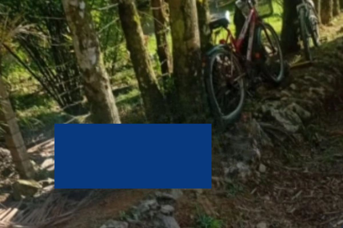 Mulher morre após queda de bicicleta na Estrada Quiriri em Joinville